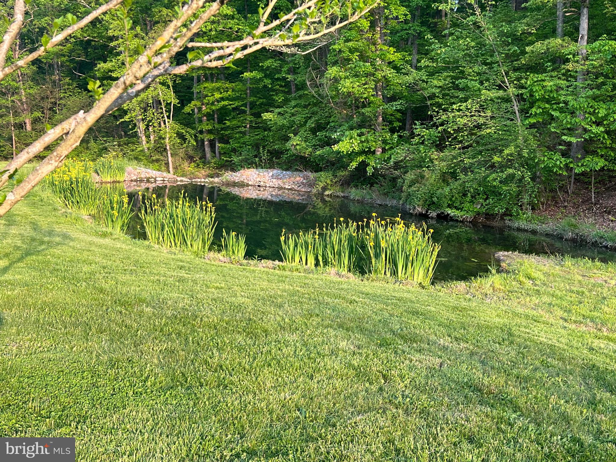 211 Ranger Court Winchester, VA 22602 - Photo 64 of 73