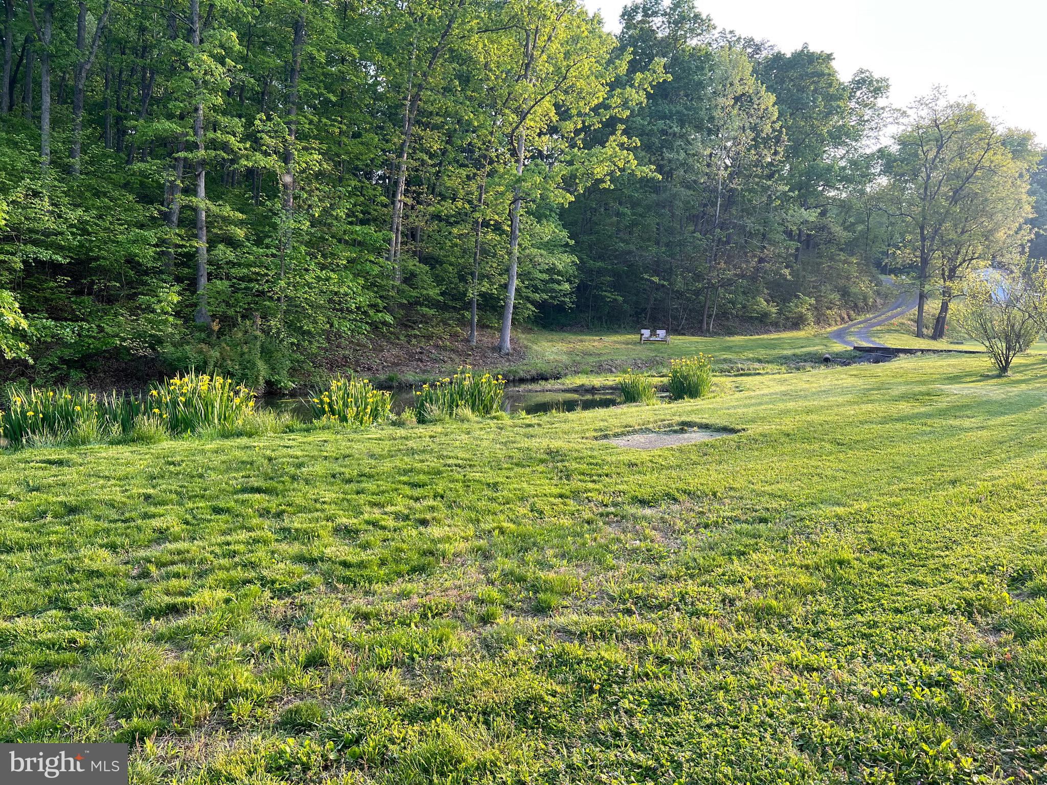 211 Ranger Court Winchester, VA 22602 - Photo 66 of 73