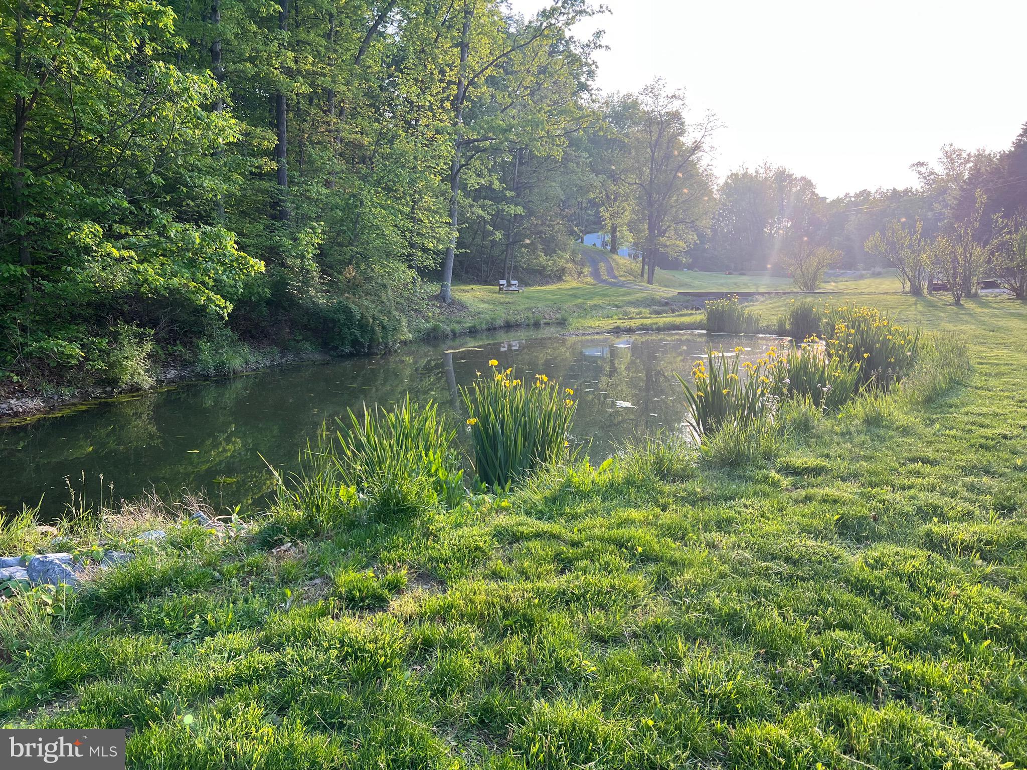 211 Ranger Court Winchester, VA 22602 - Photo 67 of 73