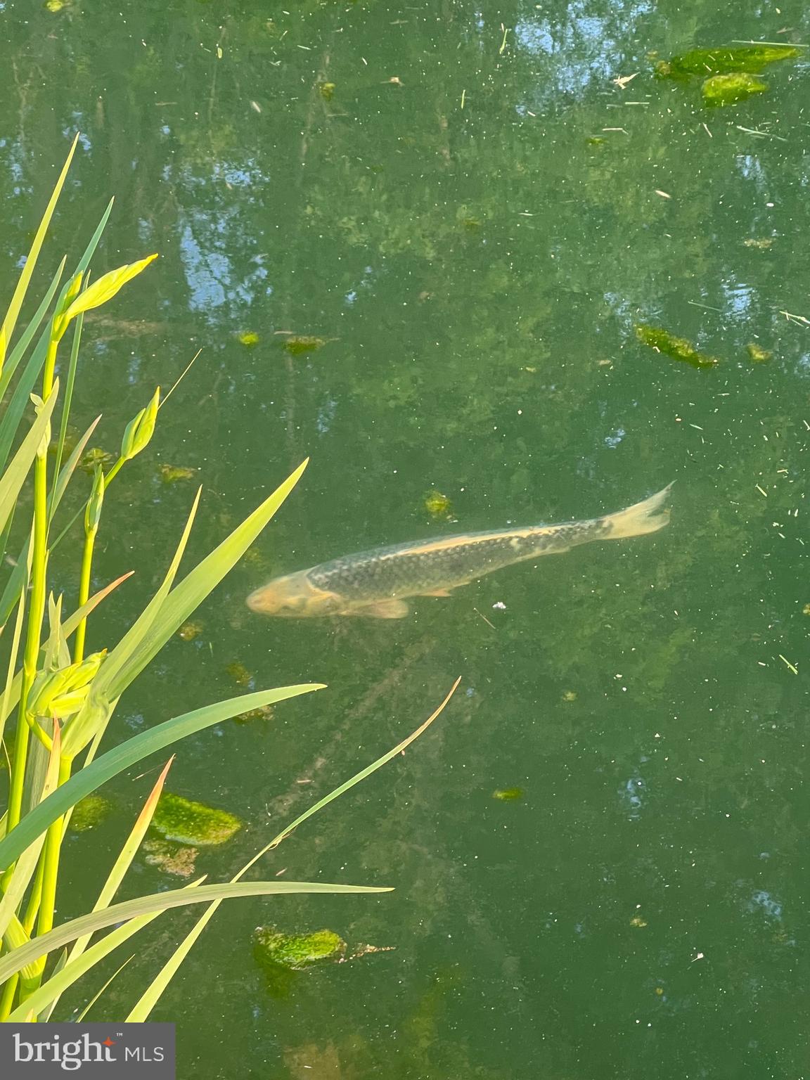 211 Ranger Court Winchester, VA 22602 - Photo 69 of 73