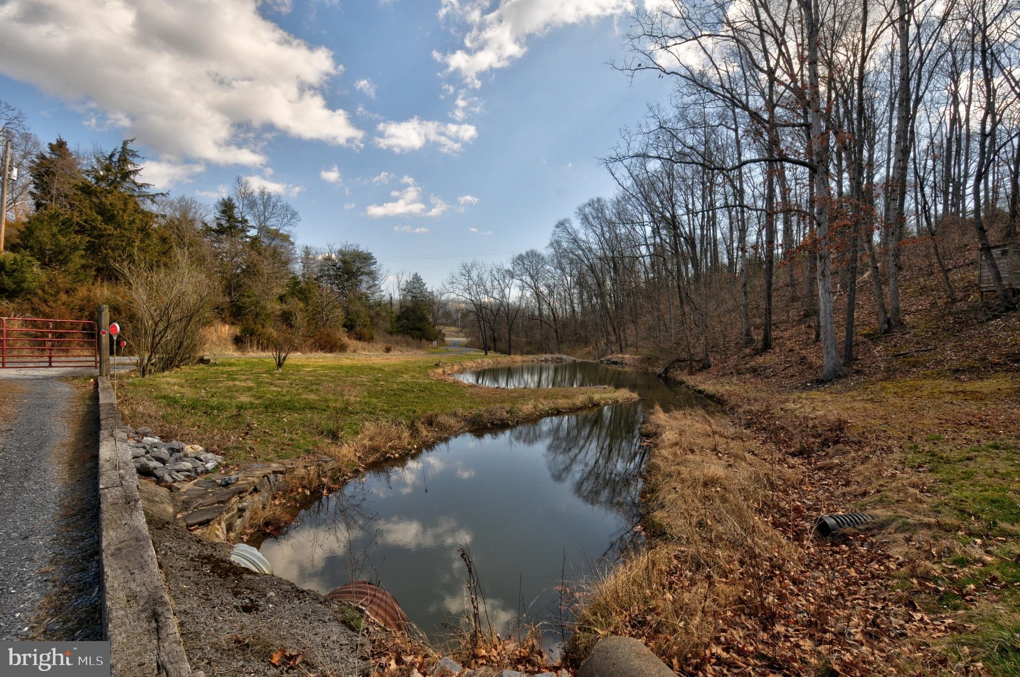 211 Ranger Court Winchester, VA 22602 - Photo 9 of 73 Creek view and Pond