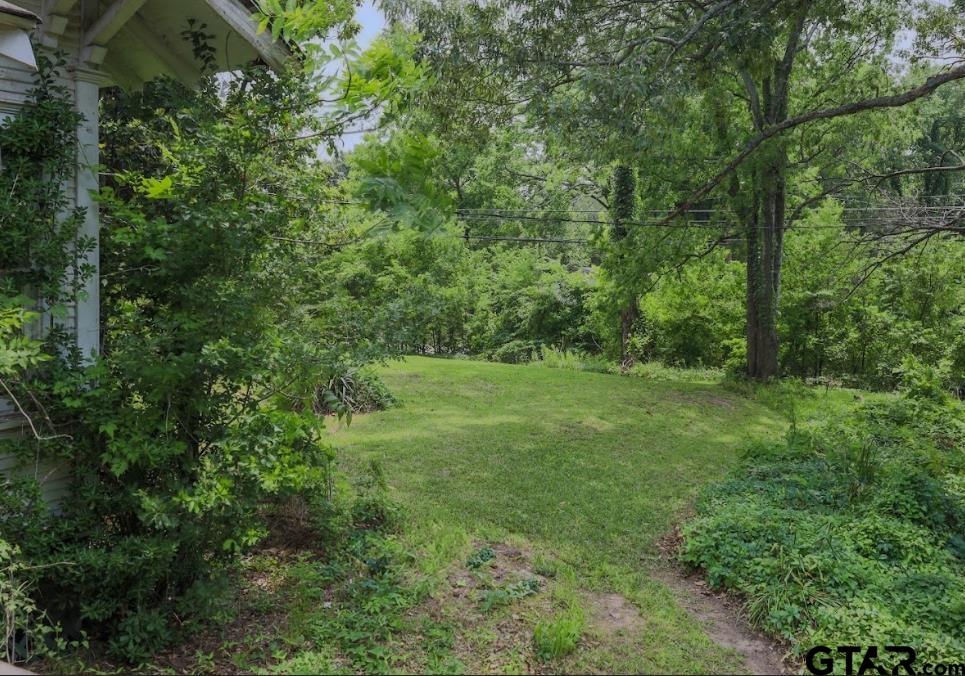 501 North Spring Street Grand Saline, TX 75140 - Photo 14 of 22