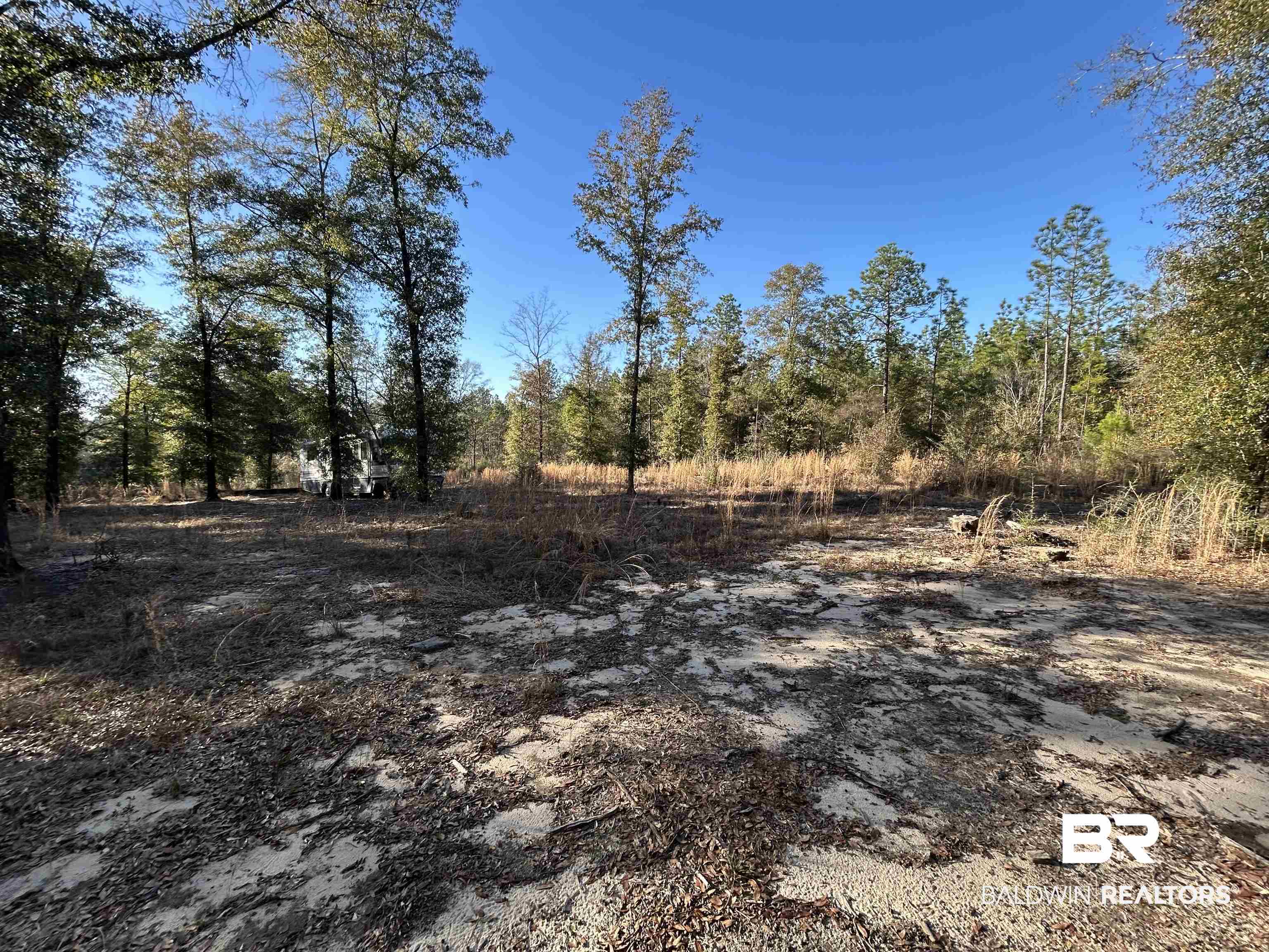 9550 A Sand Ridge Road Citronelle, AL 36522 - Photo 3 of 16 View of local wilderness