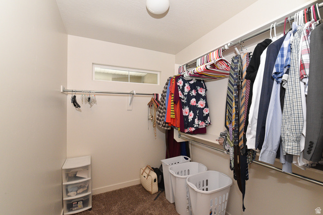 1632 North Apache Road Saratoga Springs, UT 84045 - Photo 19 of 28 Walk-in closet with carpet flooring, multiple hanging rods, and a high-set horizontal window