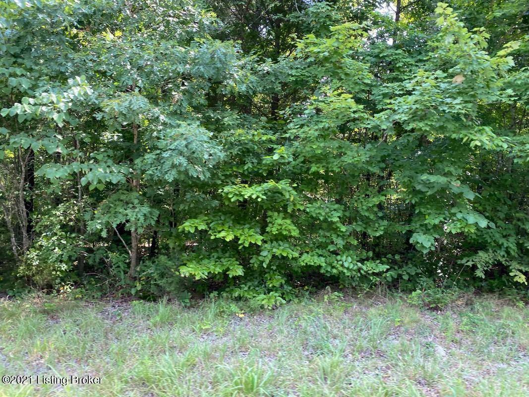 Lot 2-0 Wax Road Clarkson, KY 42726 - Photo 5 of 7 Logsdon Acres North Farm42