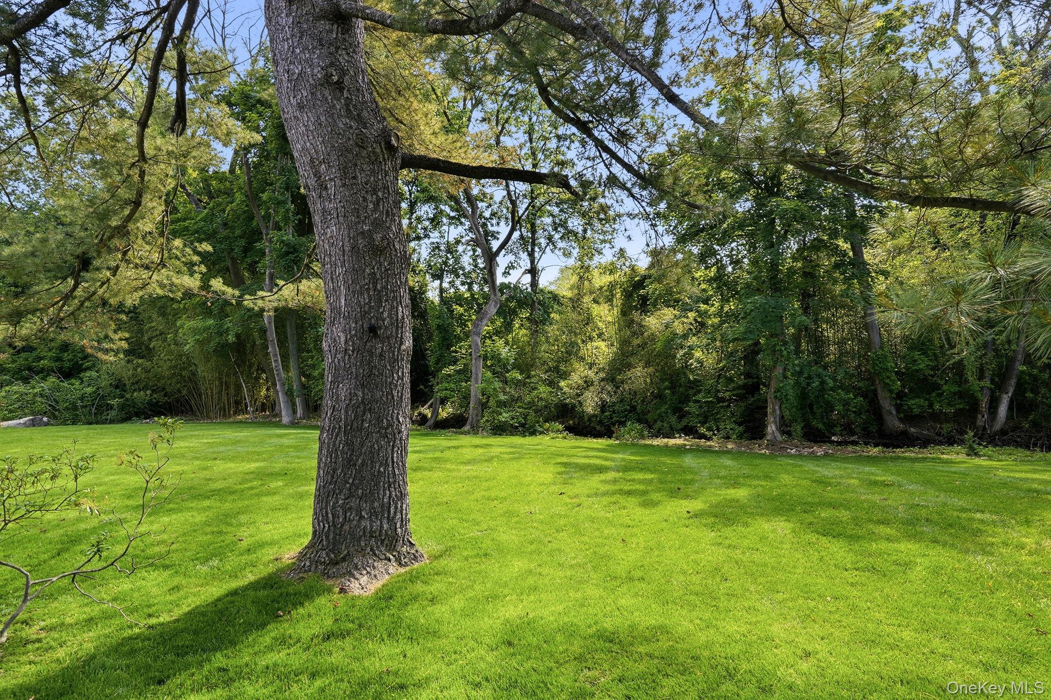 65 Lincoln Road Scarsdale, NY 10583 - Photo 24 of 29
