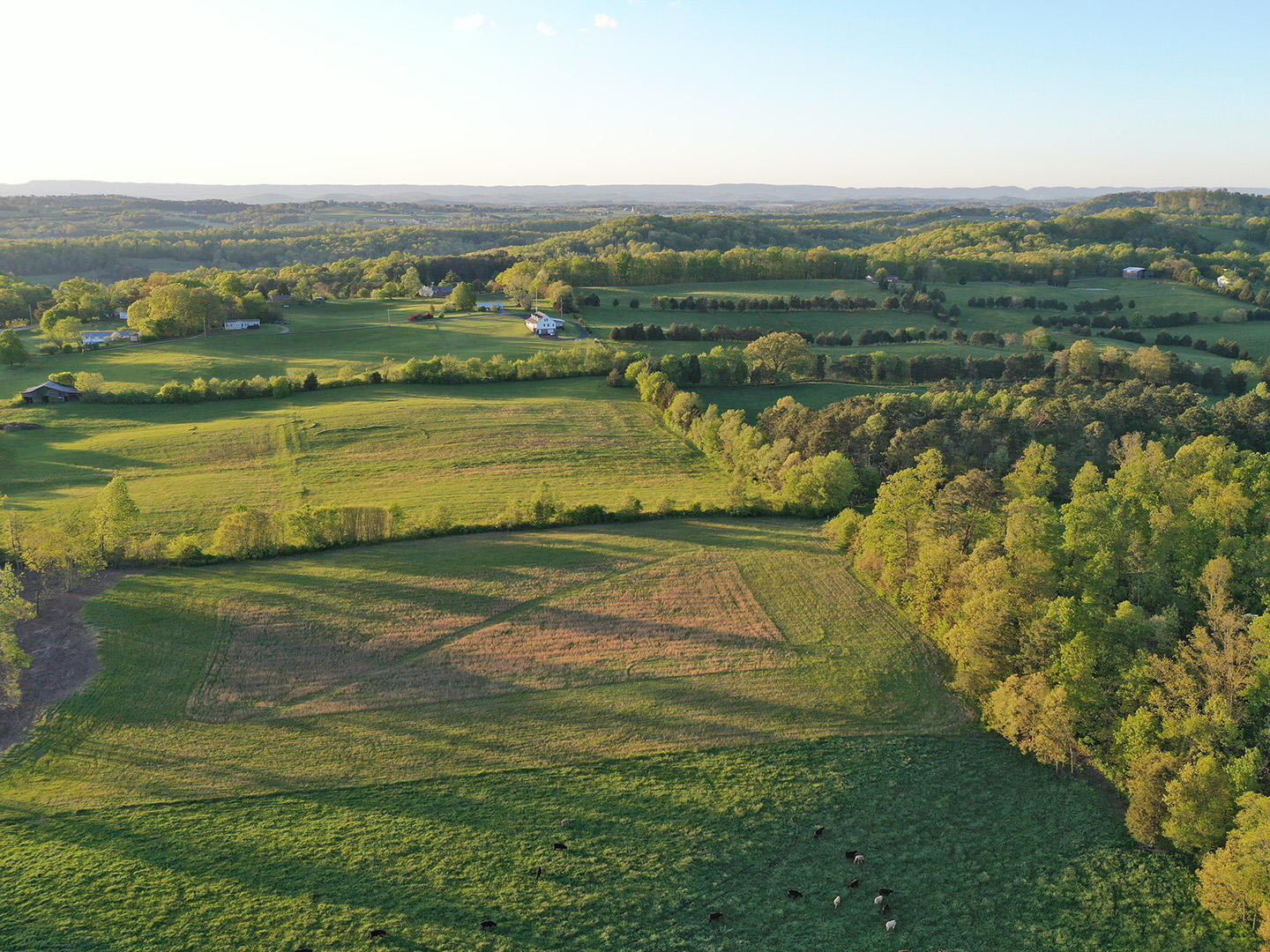 Hart Road Dandridge, TN 37725 - Photo 14 of 23 14