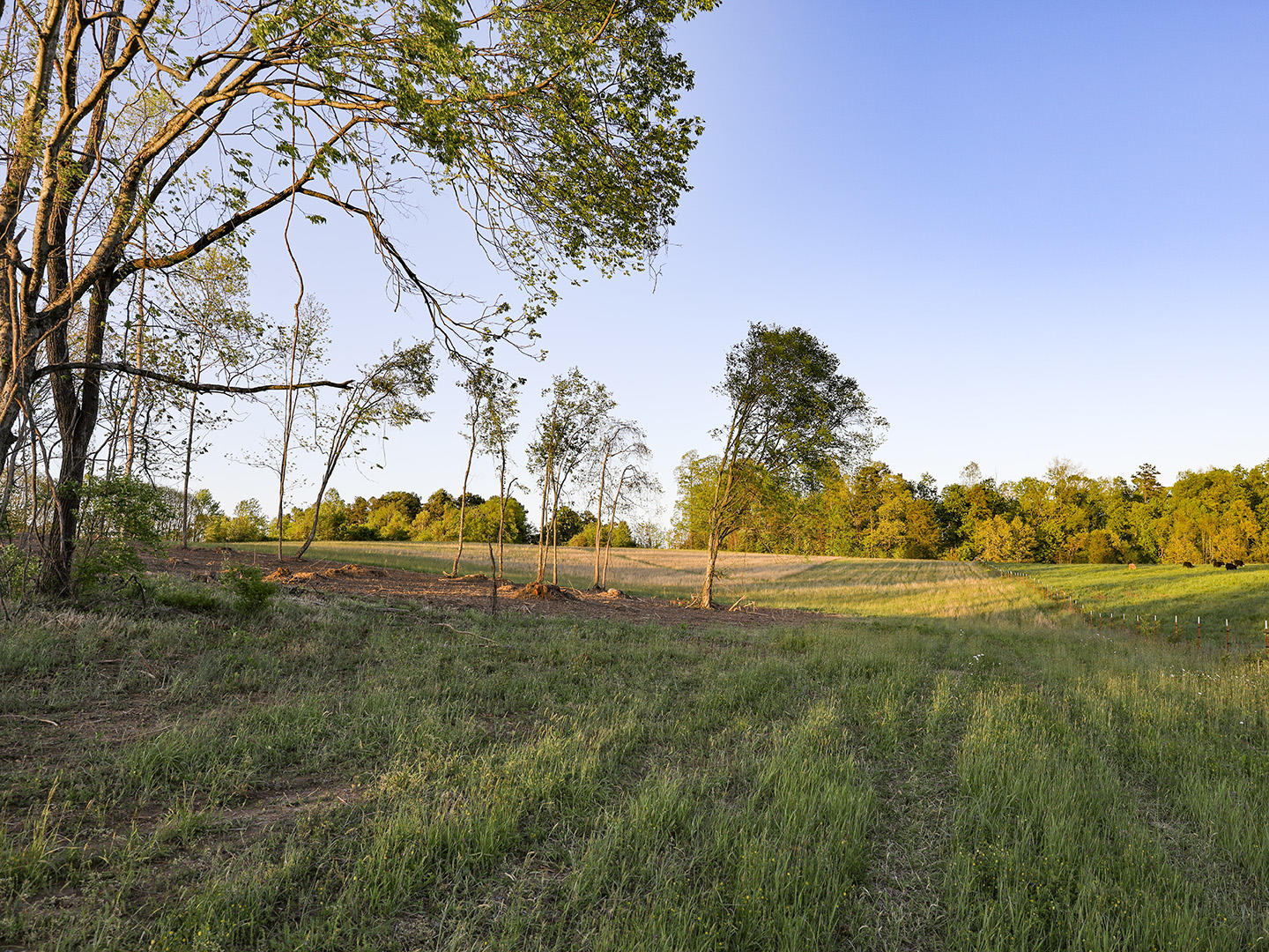 Hart Road Dandridge, TN 37725 - Photo 17 of 23 17
