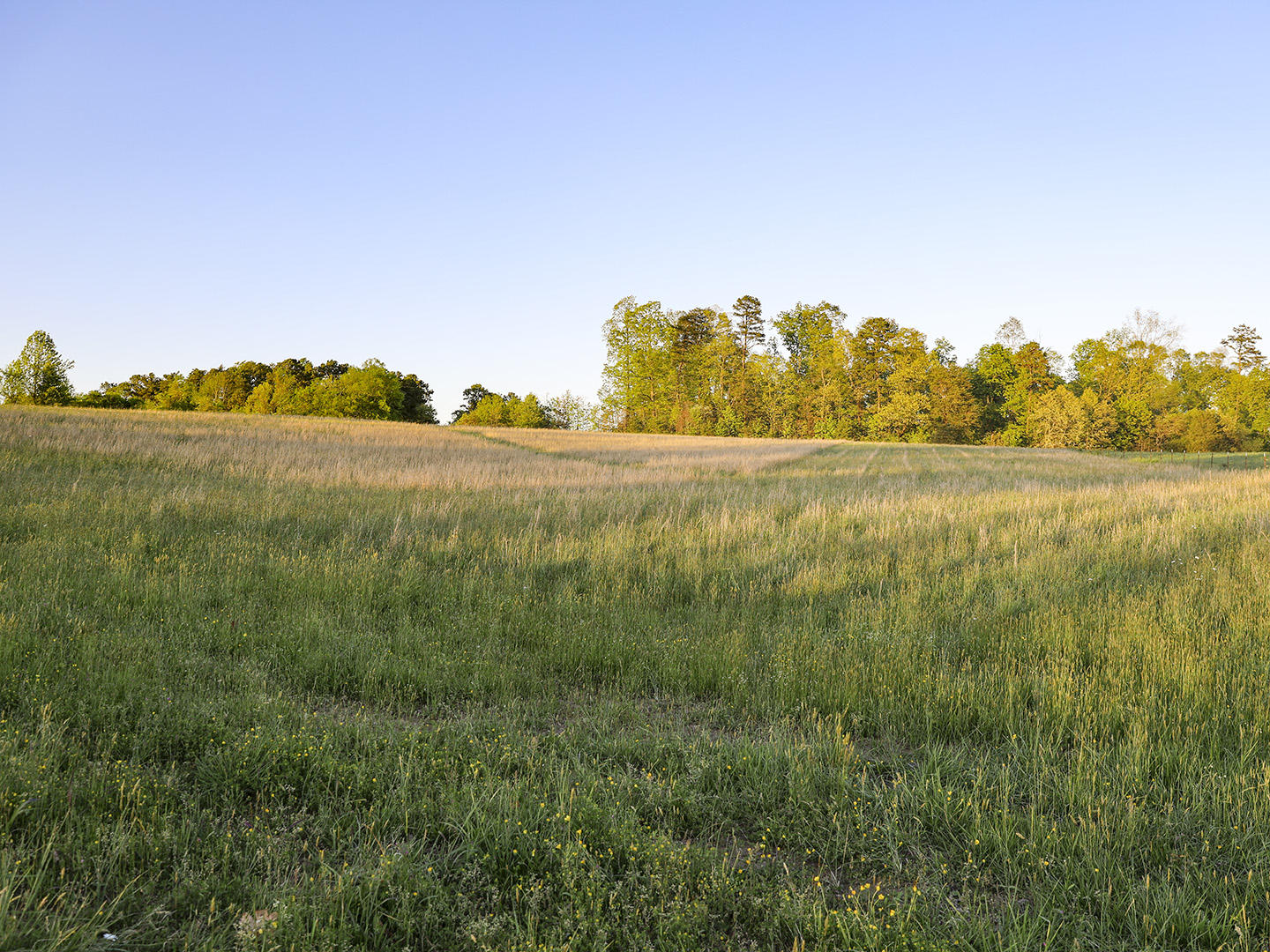 Hart Road Dandridge, TN 37725 - Photo 18 of 23 18