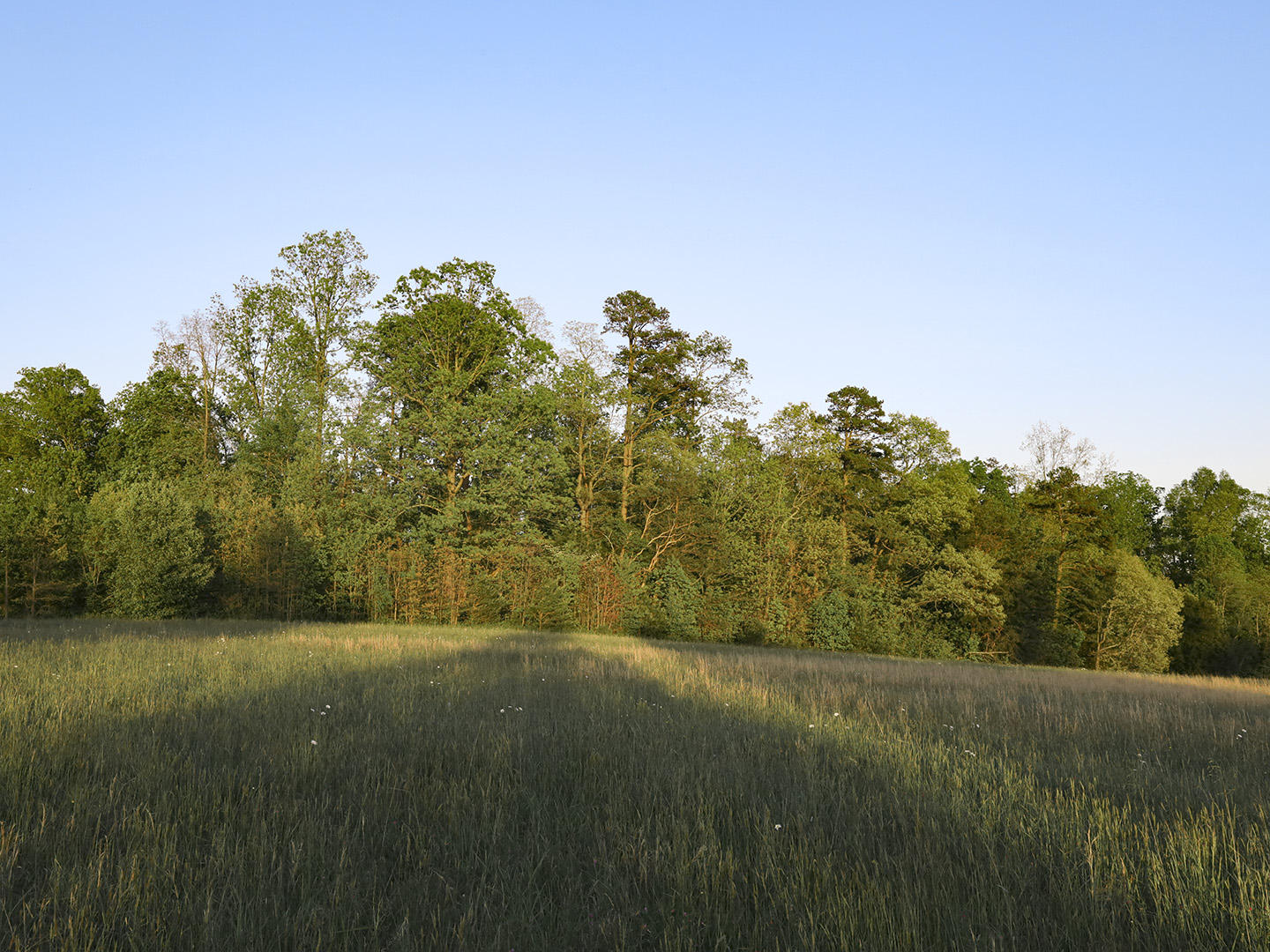 Hart Road Dandridge, TN 37725 - Photo 19 of 23 19
