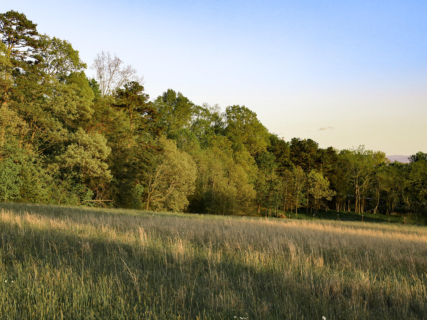 Hart Road Dandridge, TN 37725 - Photo 20 of 23 20