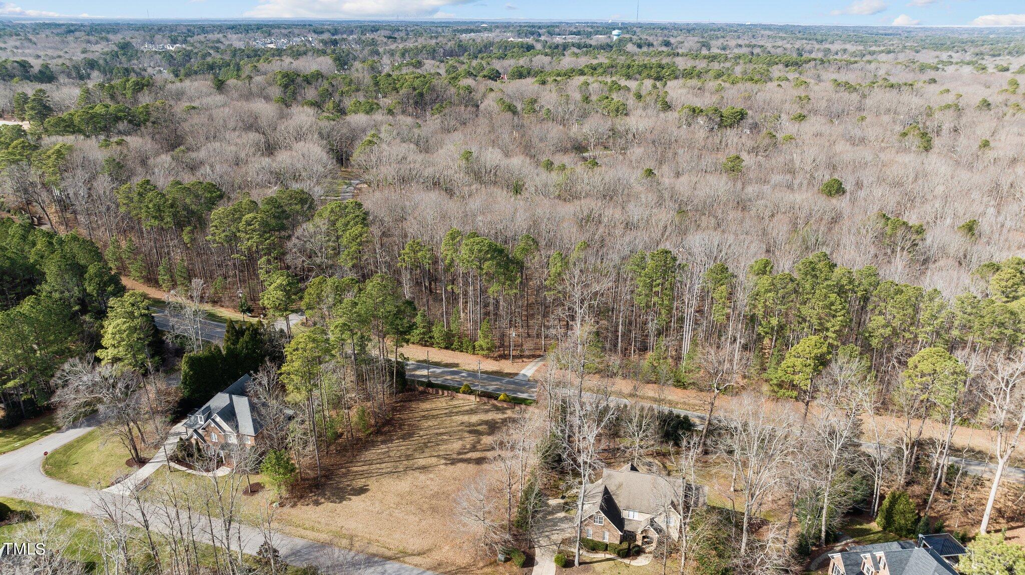 3008 Wyntree Ridge Way Raleigh, NC 27606 - Photo 19 of 22 19-web-or-mls-DJI_0222