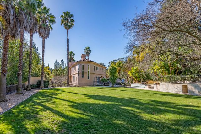 a view of a park with large trees