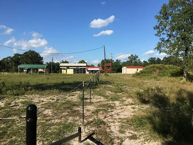 a view of a yard with plants