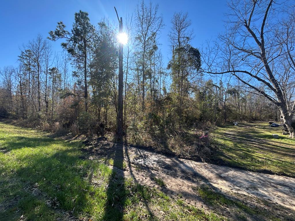 5.296-ac 5.296-ac Road Cottonwood, AL 36320 - Photo 6 of 21
