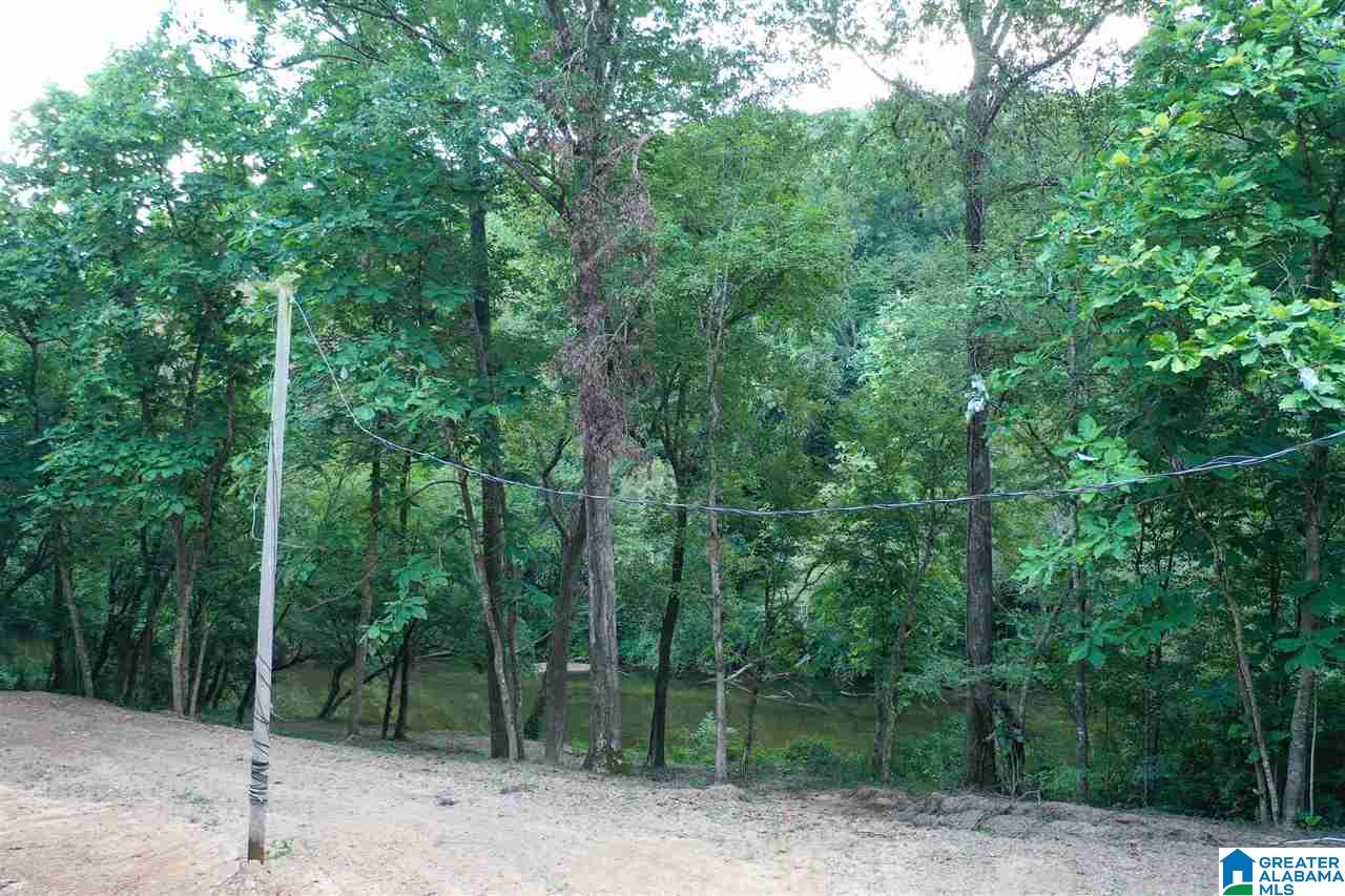 443 Old Pineywoods Road, Unit 443 Jasper, AL 35504 - Photo 7 of 9