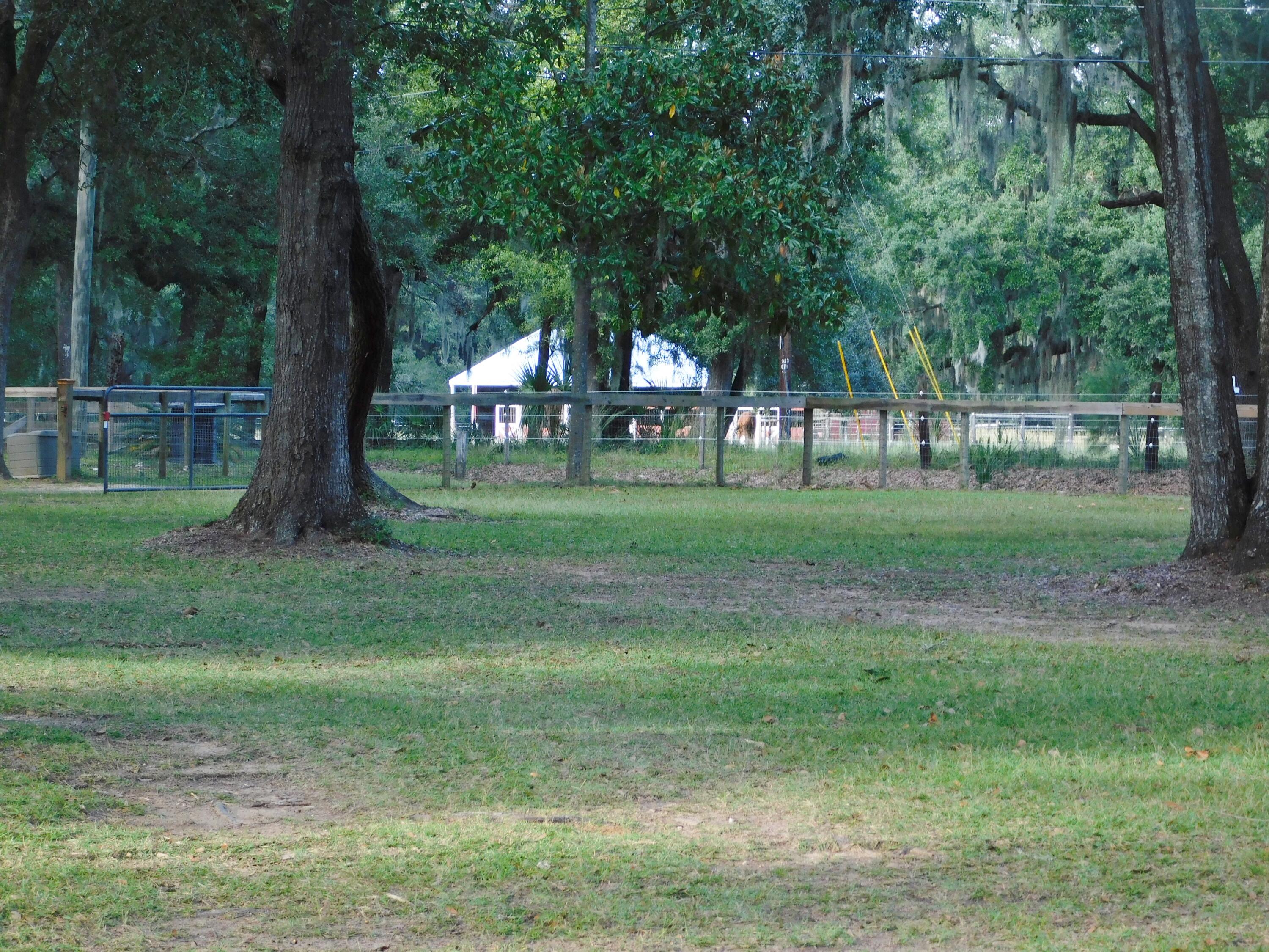 8830 Shell House Road Edisto Island, SC 29438 - Photo 83 of 84 DSCN3766