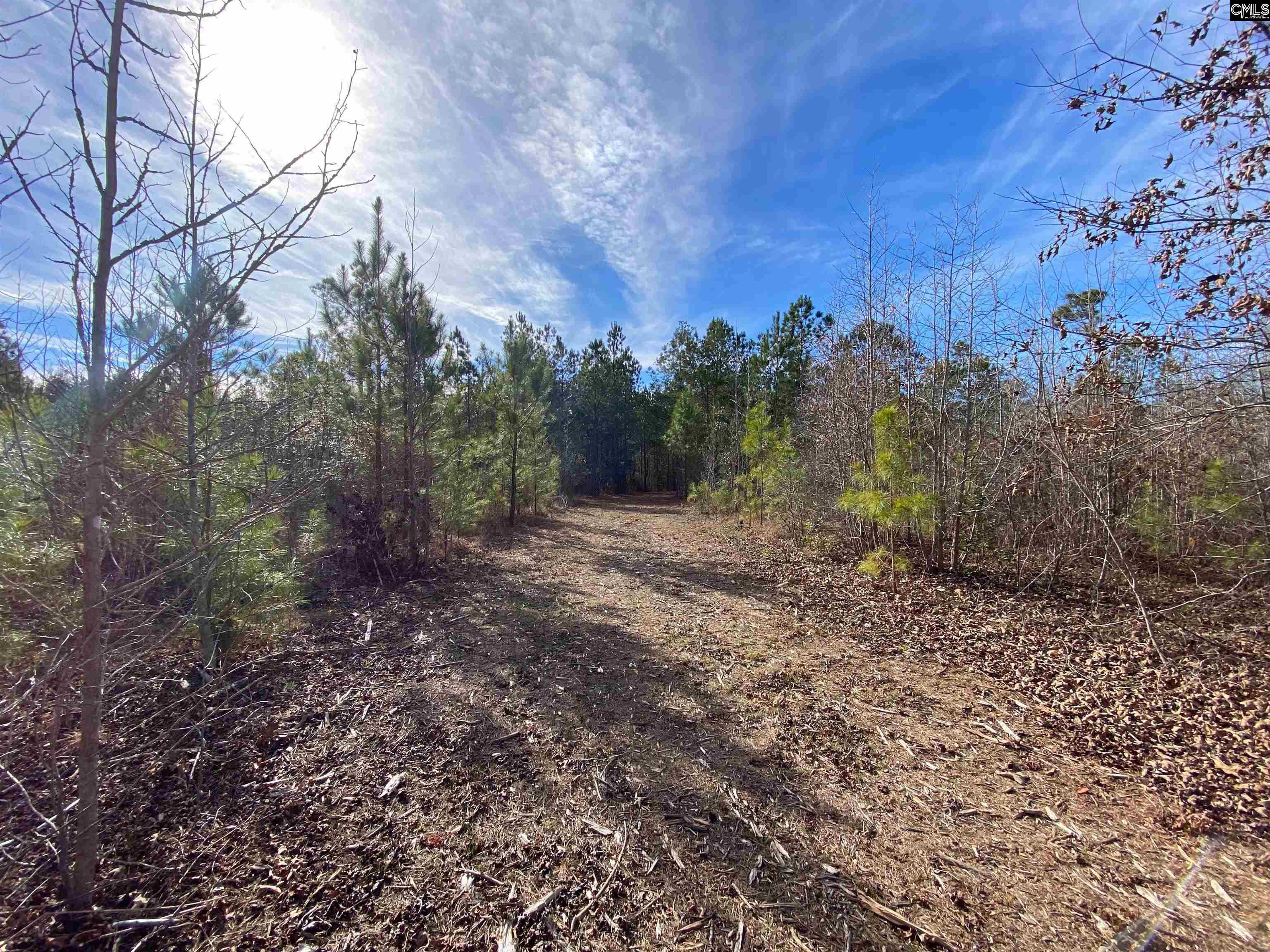 900 Pineywood Road Saluda, SC 29138 - Photo 12 of 23
