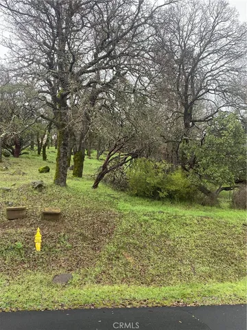 a view of a yard with an trees