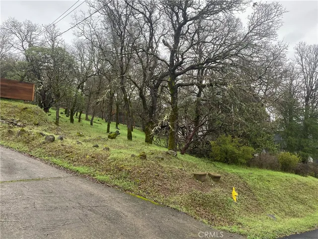 a big yard with lots of green space and deers