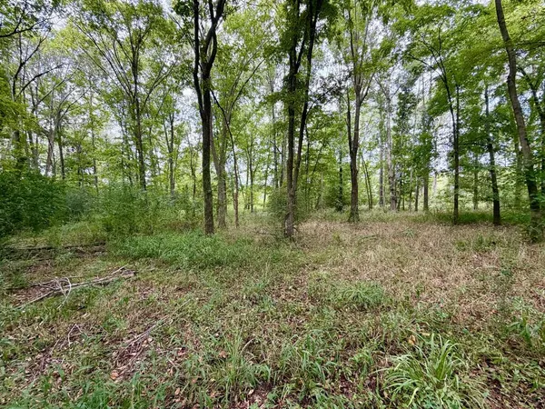 $150,000 | Lot 338 Grand View Drive, Athens, TX 75752