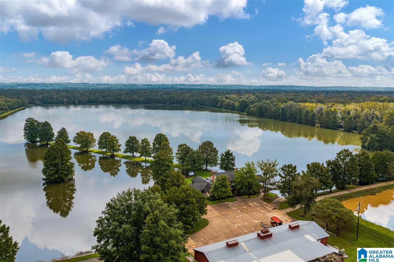 11495 Malone Creek Road Gordo, AL 35466 - Photo 44 of 44