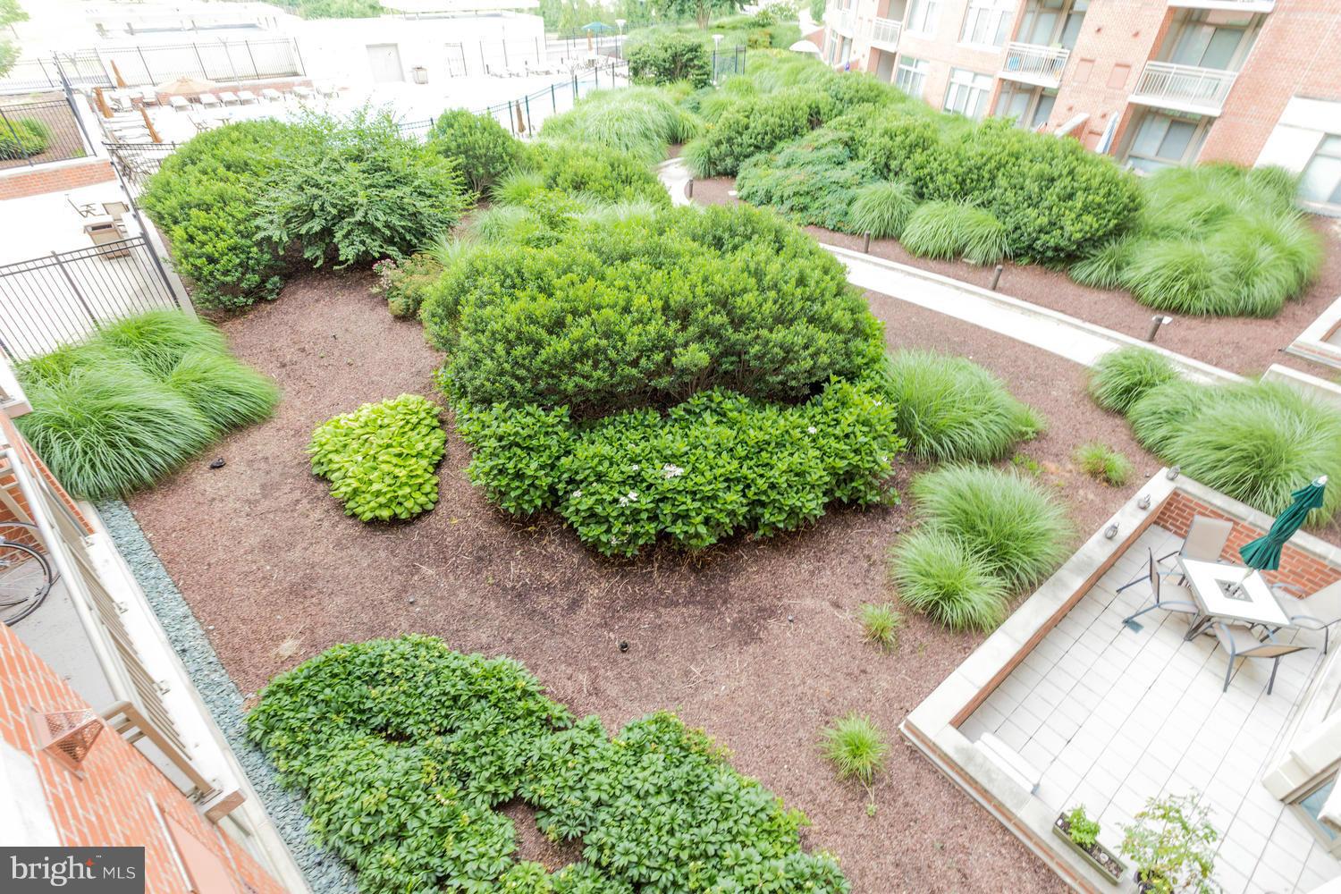 3650 South Glebe Road, Unit 462 Arlington, VA 22202 - Photo 24 of 29 View