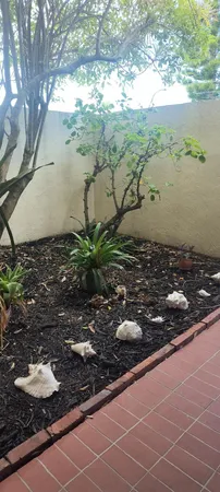 a view of a backyard of the house