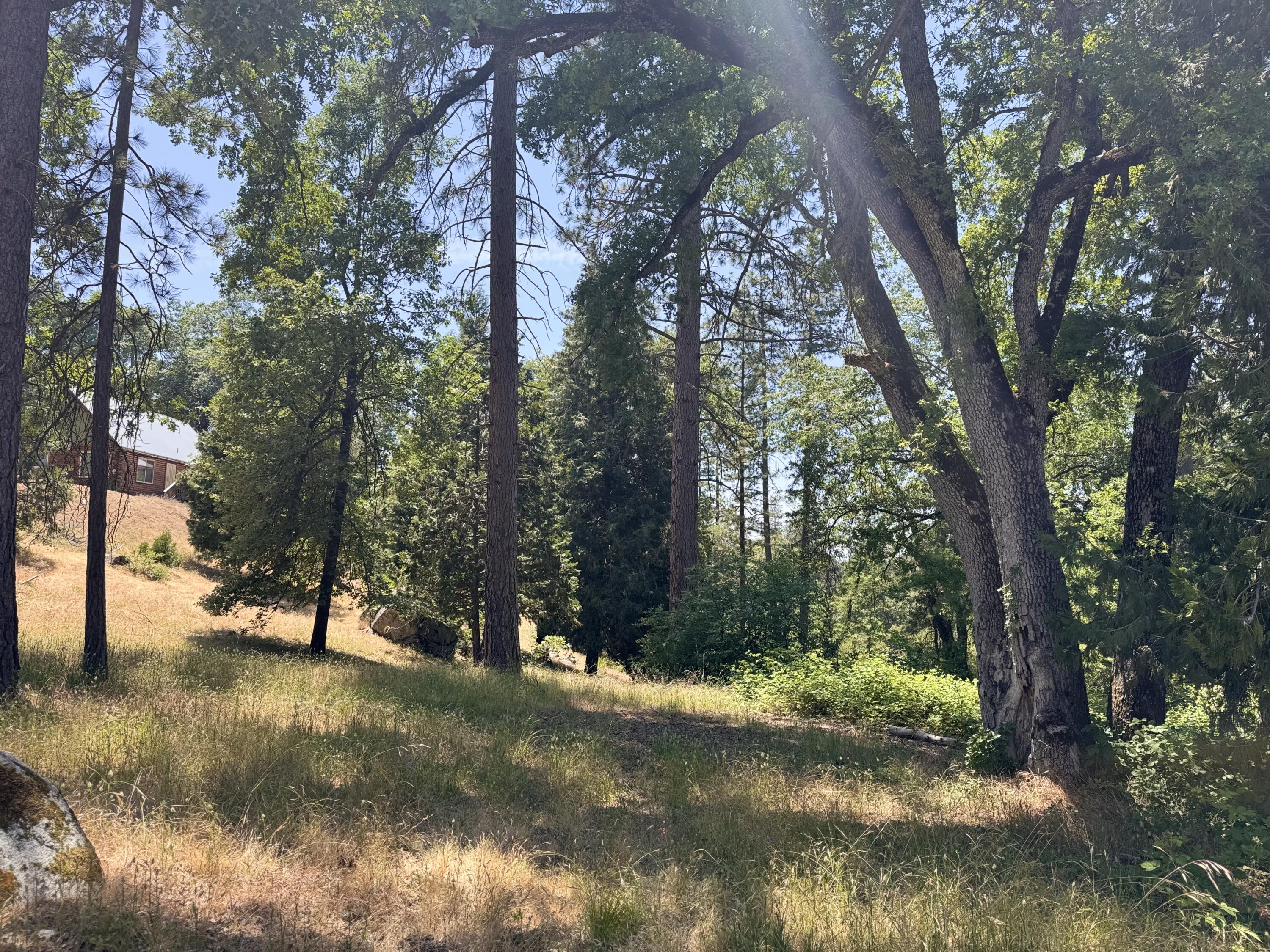 51911 Hogback Miramonte, CA 93641 - Photo 42 of 49 a view of street view with trees