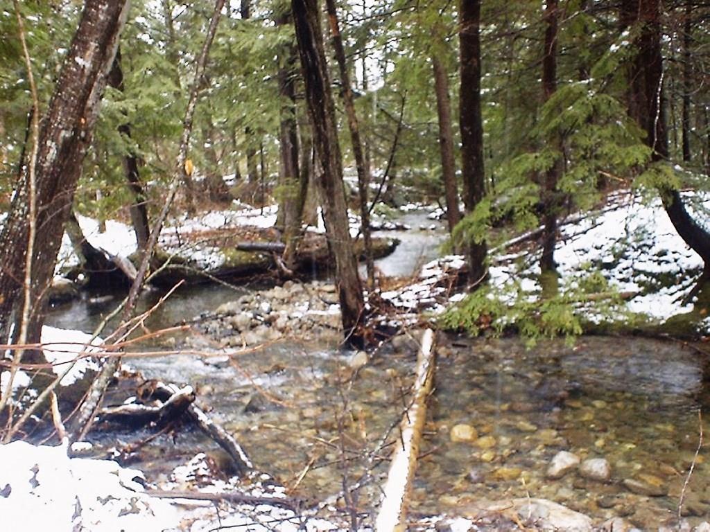 0 Packard Road Peru, ME 04290 - Photo 3 of 11 Photo