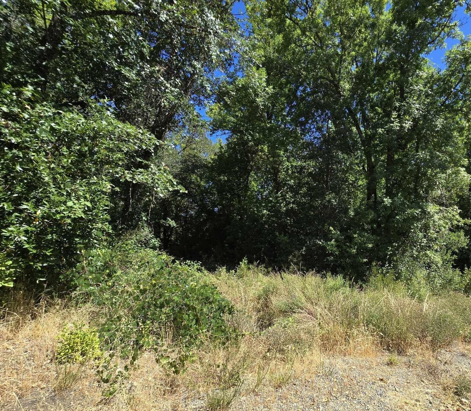 4180 Takilma Road Cave Junction, OR 97523 - Photo 29 of 46 4180 2