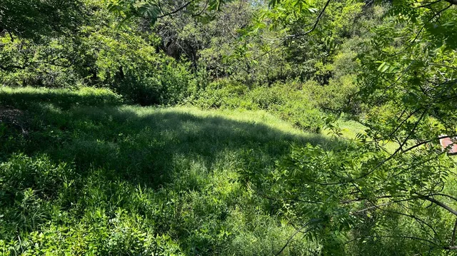 $15,000 | 219 Smith Lane, Unit BLOCK 9 LOTS 6 AND 7, West Point, CA 95255