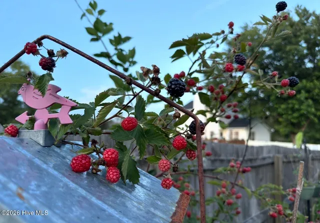 $329,900 | 117 Sidney Lane, Jacksonville, NC 28540