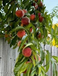 $329,900 | 117 Sidney Lane, Jacksonville, NC 28540