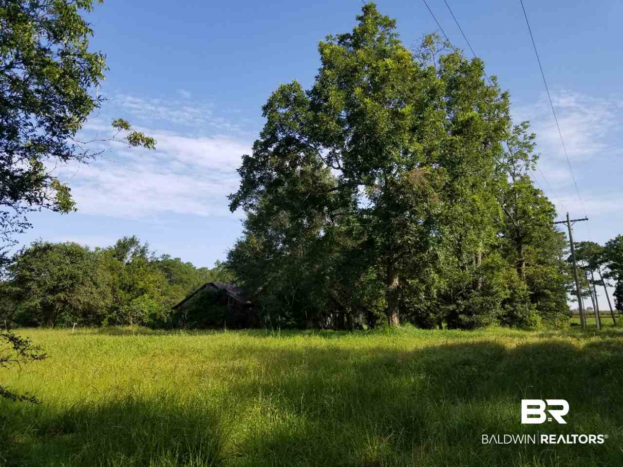 14760 County Road 64 Loxley, AL 36551 - Photo 11 of 19