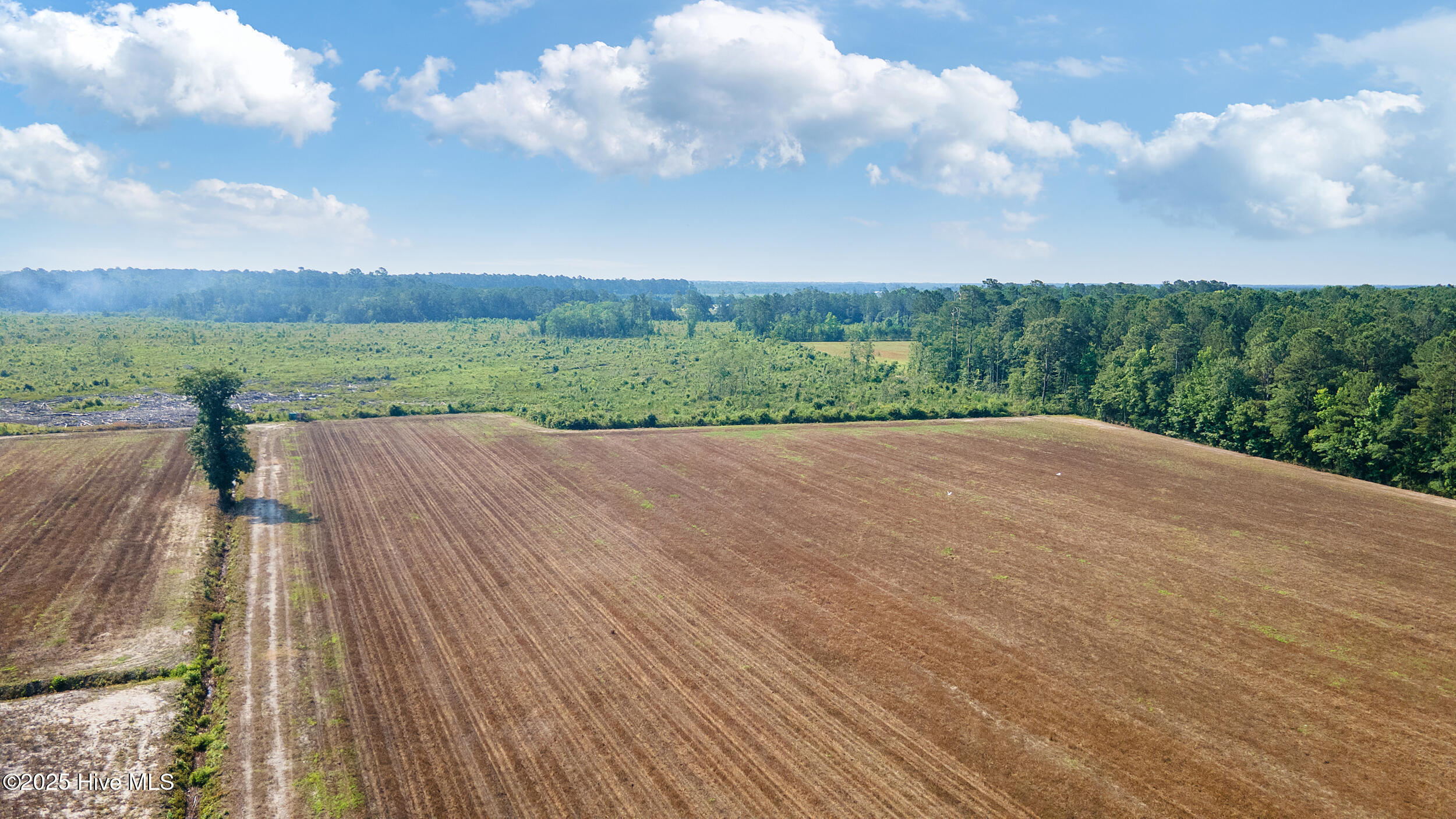 1592 Savannah Road Tabor City, NC 28463 - Photo 2 of 3 Tabor 2
