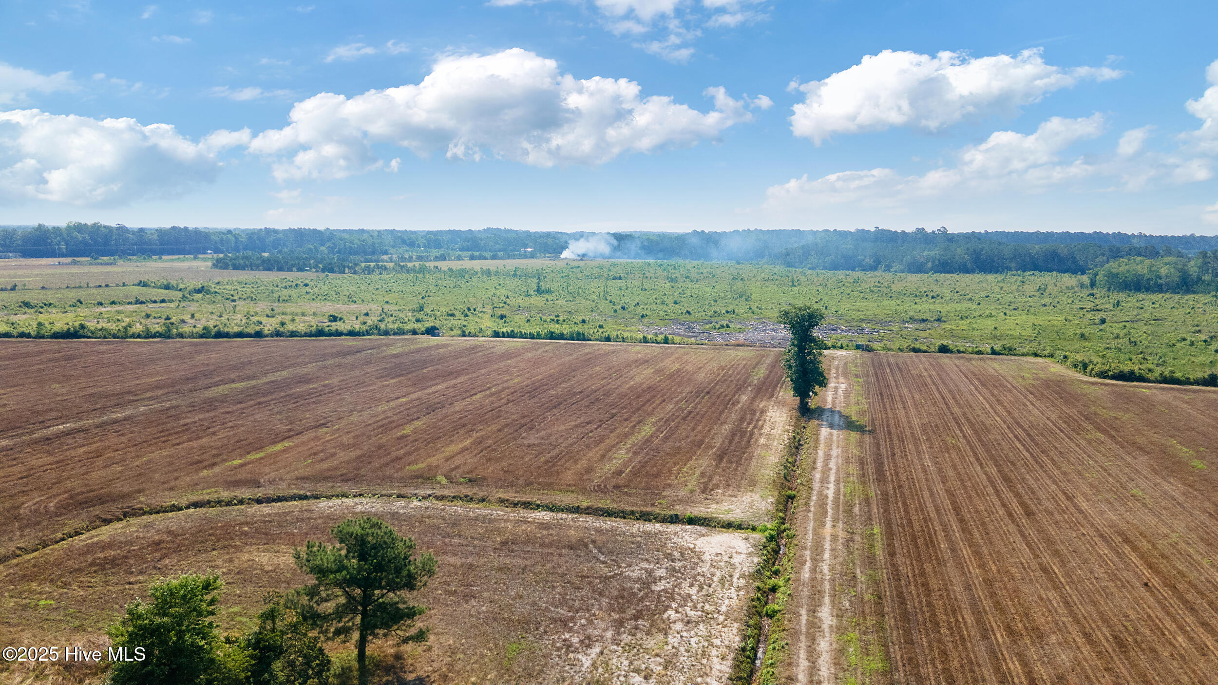 1592 Savannah Road Tabor City, NC 28463 - Photo 3 of 3 Tabor 3