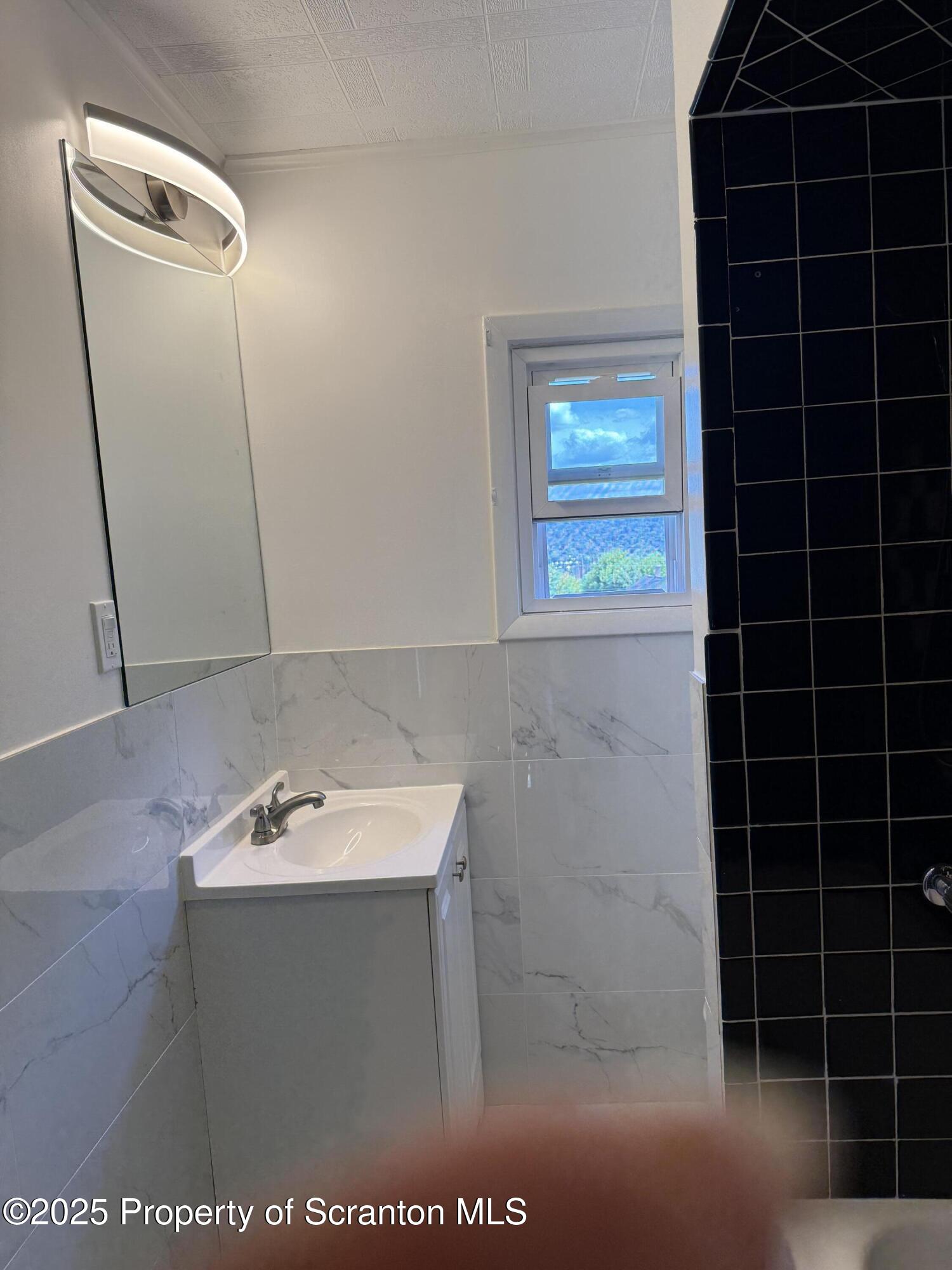 209 South Main Avenue Scranton, PA 18504 - Photo 12 of 21 a bathroom with a sink a toilet and a shower