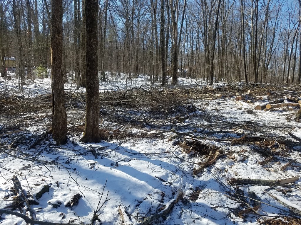 Lot 3 Bemis Road Warren, MA 01083 - Photo 4 of 6 Gallery Image 4