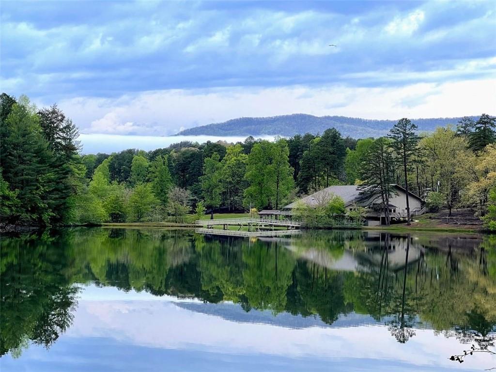 166 Quail Point Sautee Nacoochee, GA 30571 - Photo 45 of 52