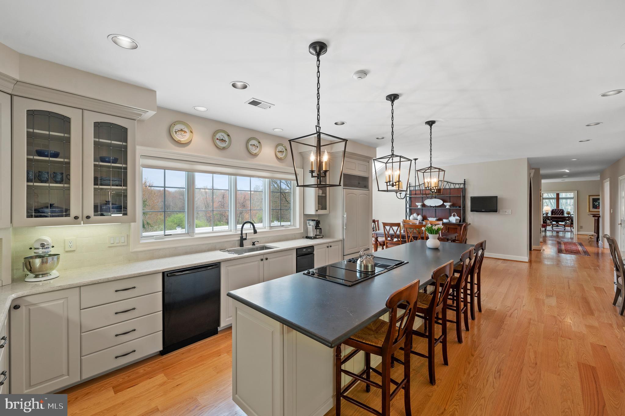 530 Northfield Road Devon, PA 19333 - Photo 8 of 46 Gourmet Eat-in Kitchen