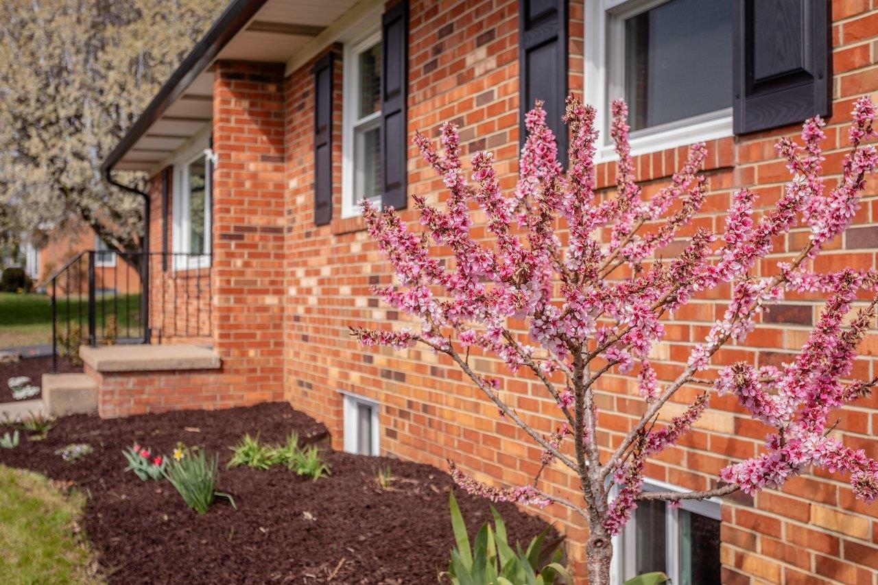 1258 Longs Pump Road Harrisonburg, VA 22802 - Photo 49 of 49