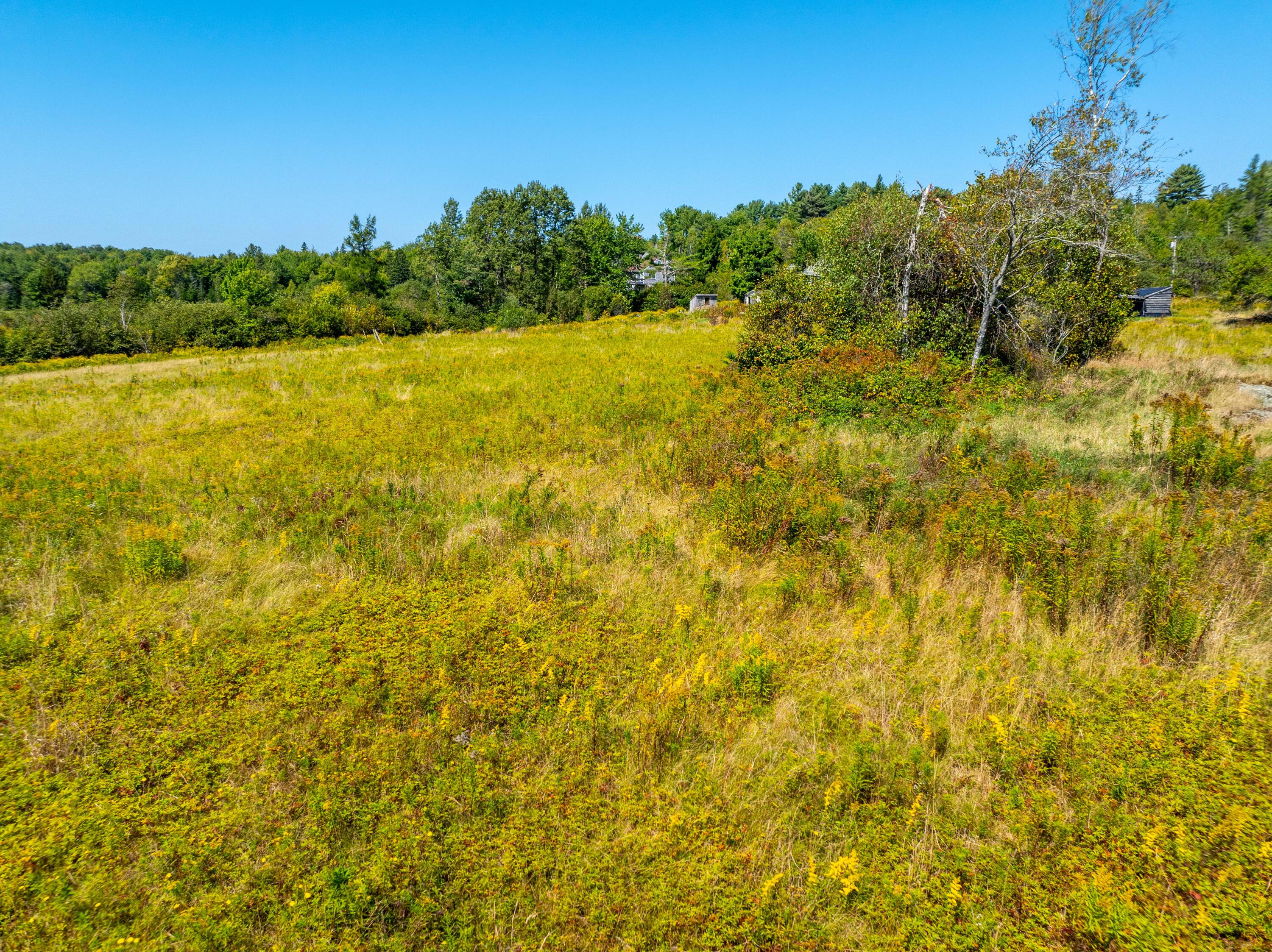 4 Map Road Machias, ME 04654 - Photo 1 of 36 Pasture Land lot Marshfield-20