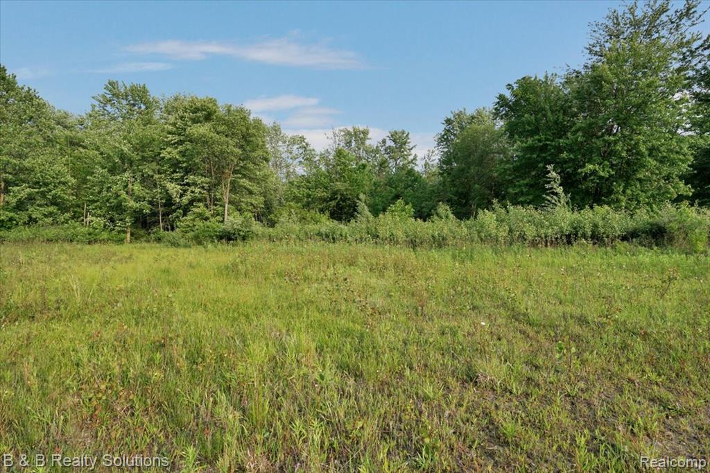 437 Angle Road Lapeer, MI 48446 - Photo 34 of 43