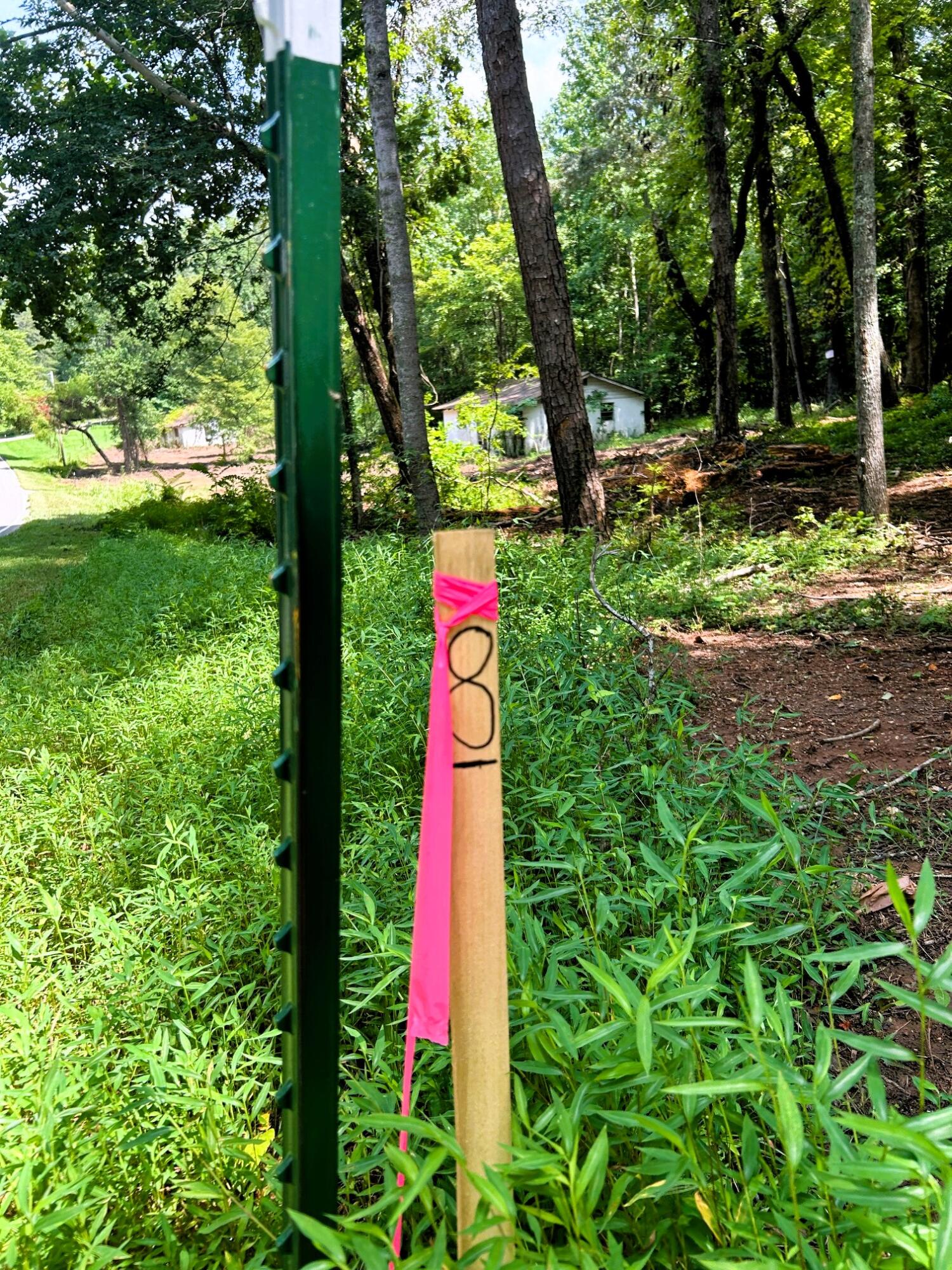 8 Pleasant Hill Road Ten Mile, TN 37880 - Photo 4 of 6 IMG_1449