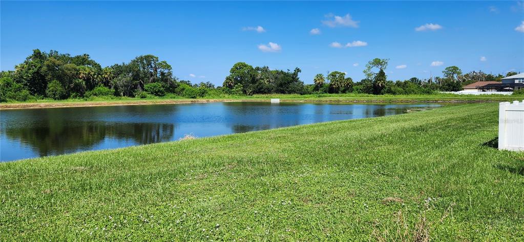 7524 Dragon Fly Loop Gibsonton, FL 33534 - Photo 15 of 55 a view of a lake with houses in the back