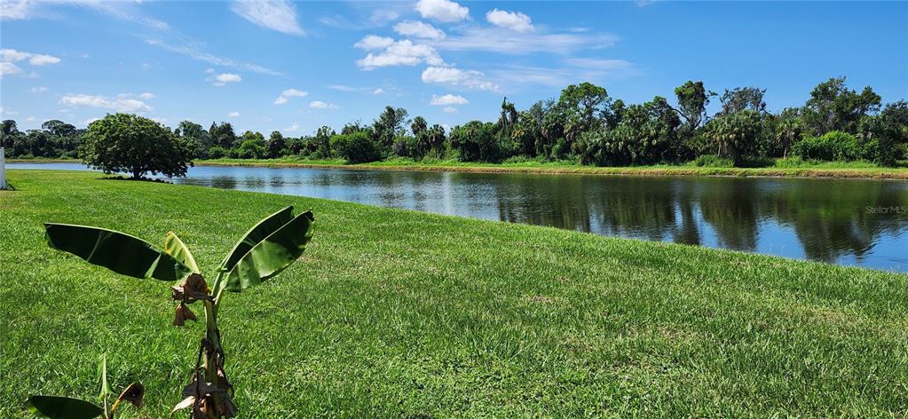 7524 Dragon Fly Loop Gibsonton, FL 33534 - Photo 16 of 55 a view of a lake with a yard and lake