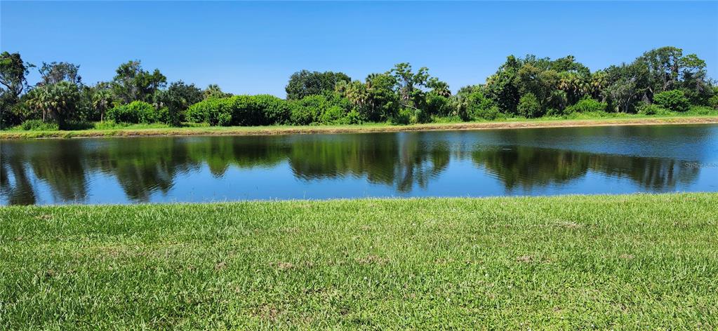 7524 Dragon Fly Loop Gibsonton, FL 33534 - Photo 17 of 55 a view of a lake with a large yard and large trees