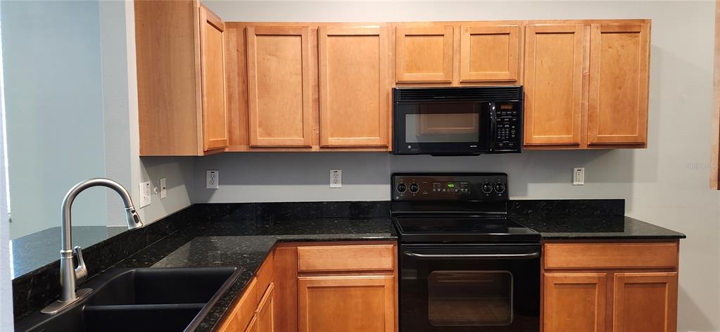 7524 Dragon Fly Loop Gibsonton, FL 33534 - Photo 53 of 55 a kitchen with granite countertop a stove and a microwave