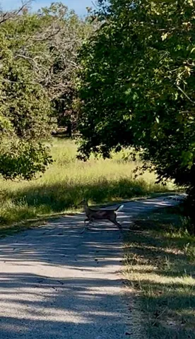 a view of street view